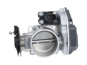 Throttle Body Assembly