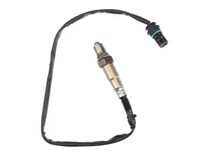 Oxygen Sensor - Post Cat
