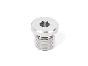 Transmission Plug - Priced Each