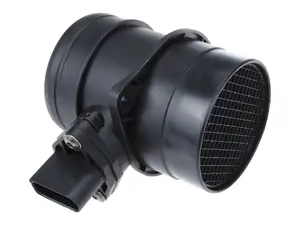 Air Mass Sensor (MAF)