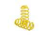 ES#4487410 - 253100DV - KW Height Adjustable Spring Kit - KW height adjustable springs kits are a great alternative to conventional springs. - KW Suspension - Audi