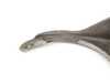 ES#286879 - 086311549C - Selector Fork - 1st/2nd Gears - Internal gear selector for the transmission - Genuine Volkswagen Audi - Audi