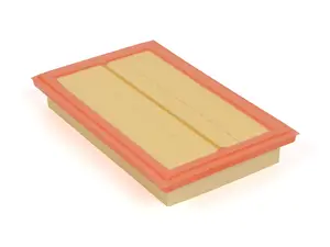 Engine Air Filter - Priced Each 