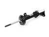 ES#2228228 - 31317841708 - Front Right Spring Strut - Genuine BMW - BMW