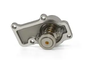 Thermostat Assembly