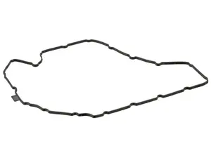 Engine Oil Pan Gasket