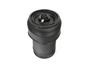 Pneumatic Rear Spring - Priced Each