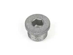 Engine Oil Drain Plug - Priced Each