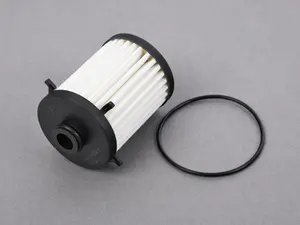 DSG Filter - Low Pressure