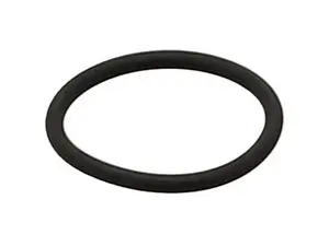 Mid Fuel Injector O-Ring - Priced Each