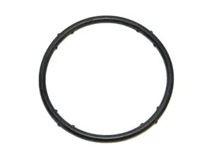Sealing O-Ring