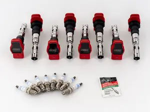 4.2 Performance Ignition Service Kit