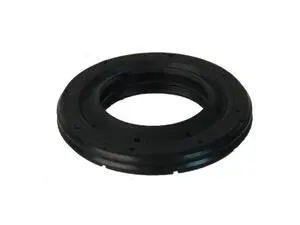 Camshaft Adjuster / Actuator Seal