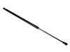 ES#4932911 - 97051257100 - Hatch Strut - URO - Porsche