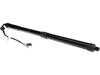 ES#4932912 - 97051257312 - Tailgate Strut - URO - Porsche