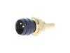 ES#2894268 - 0095423517 - Coolant Temperature Sensor - (2 Pin) (Black) - Vemo - Mercedes Benz