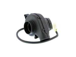 ES#2895942 - 12901745182 - Electric Motor, blower control unit - Vemo - BMW