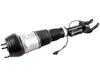 ES#4854570 - 1663205166 - Front Air Suspension Strut - Left - Front Axle, Left Side - Vemo - Mercedes Benz