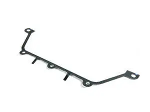 VANOS Gasket