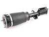 ES#4855546 - 37116761443 - BMW | Air Suspension Strut - Vemo - BMW