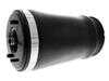 ES#4855548 - 37121094613 - BMW | Air Suspension Strut - Vemo - BMW