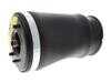 ES#4855550 - 37121095081 - BMW | Air Suspension Strut - Vemo - BMW
