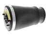 ES#4855552 - 37121095082 - BMW | Air Suspension Strut - Vemo - BMW