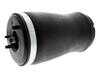 ES#4855554 - 37121095580 - BMW | Air Suspension Strut - Vemo - BMW