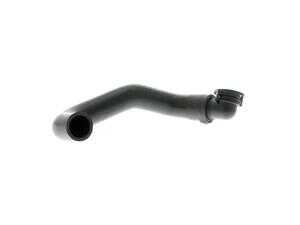 ES#2879763 - 11727553096 - Secondary air pump hose - suction  - Connects to the secondary air pump - Vaico - BMW