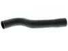 ES#2880185 - 1295010182 - Radiator Hose - Upper Hose - Vaico - Mercedes Benz