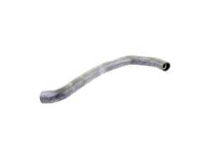ES#2880748 - 1405014182 - Radiator Hose - Lower - Vaico - Mercedes Benz