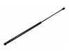 ES#2883005 - 2049800064 - gas spring, bonnet - Vaico - Mercedes Benz