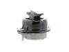 ES#2883417 - 22116769186 - Engine Mount - Right - Keep your engine securely mounted - Vaico - BMW