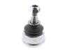 ES#4862437 - 31126758510 - BMW | Ball Joint - Vaico - BMW