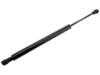ES#4863715 - 51248254281 - BMW | Gas Spring, boot/cargo area - Vaico - BMW