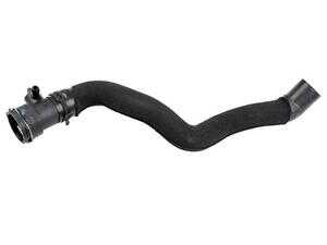 ES#4056205 - 8R0121055D - Radiator Hose - Lower - Connects the lower radiator port to the t-fitting - Vaico - Audi