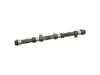 ES#2865498 - 021109101N - Camshaft - For cylinders 1,3,and 5. - Febi - Volkswagen