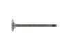 ES#2865538 - 022109611L - Exhaust Valve - Febi - Volkswagen