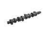 ES#2865774 - 038109101AF - Camshaft - Febi - Volkswagen
