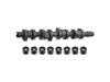 ES#2873206 - 038109101AHS1 - Camshaft Kit - Febi - Volkswagen