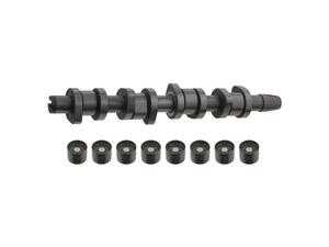 ES#2873206 - 038109101AHS1 - Camshaft Kit - Febi - Volkswagen