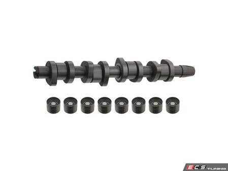ES#2873206 - 038109101AHS1 - Camshaft Kit - Febi - Volkswagen