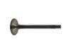 ES#2865793 - 038109611E - Exhaust Valve - Febi - Volkswagen