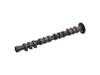 ES#2866026 - 058109021B - Intake Camshaft - Prevent timing failure by replacing your worn out camshaft - Febi - Audi Volkswagen