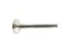 ES#2866373 - 074109611 - Exhaust Valve - Priced Each - Located inside the cylinder head - Febi - Volkswagen