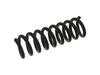 ES#2869038 - 2023241804 - Rear Coil Spring - Priced Each - Two (2) grey paint markings, fits left or right side - Febi - Mercedes Benz