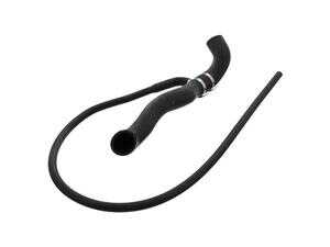 ES#2869087 - 2025014982 - Radiator Hose - Priced Each - Upper Hose - Febi - Mercedes Benz