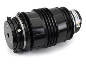 ES#4940769 - A-3313 - Rear Air Suspension Spring - Right - Rear Axle, Right Side - Replace in Pairs - Arnott - Mercedes Benz