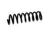 ES#2869314 - 2103213004 - Front Coil Spring - Priced Each - One (1) Blue And One (1) Green Paint Marking - Fits Left Or Right Side - Febi - Mercedes Benz