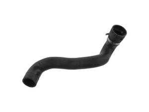 ES#2869608 - 2205010482 - Radiator Hose - Lower hose - Febi - Mercedes Benz